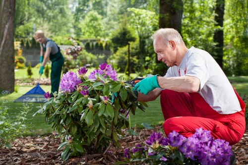 Illustration of accessible tree surgery services in Mortlake