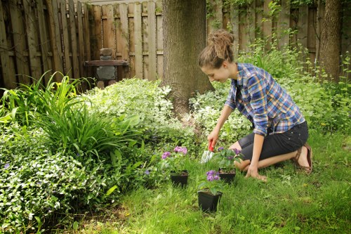 Professional stump grinding service on a residential property in Mortlake