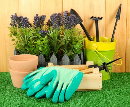 Finalizing a tree surgery complaint resolution